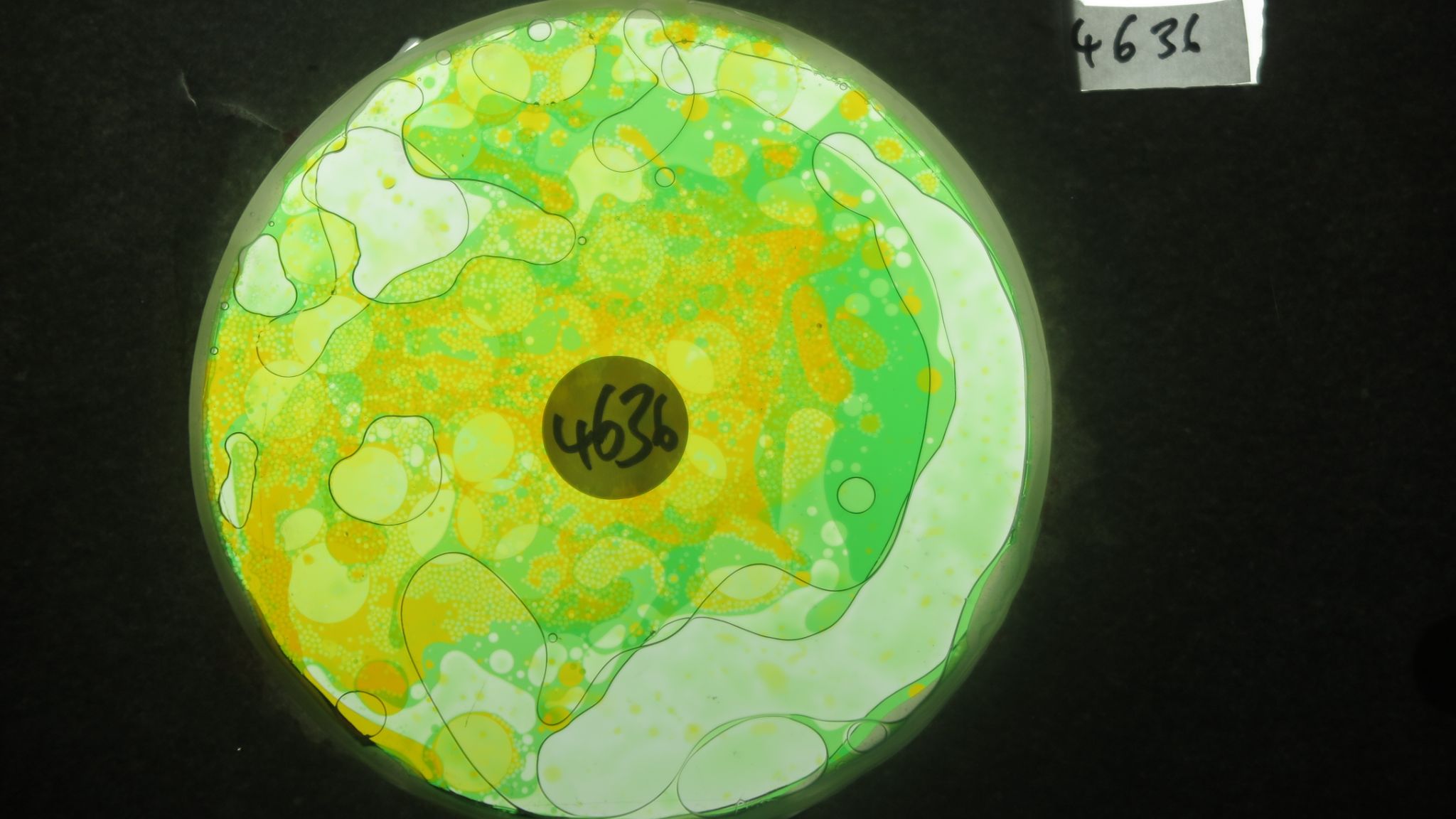 BV4636 bubble vision oil wheel